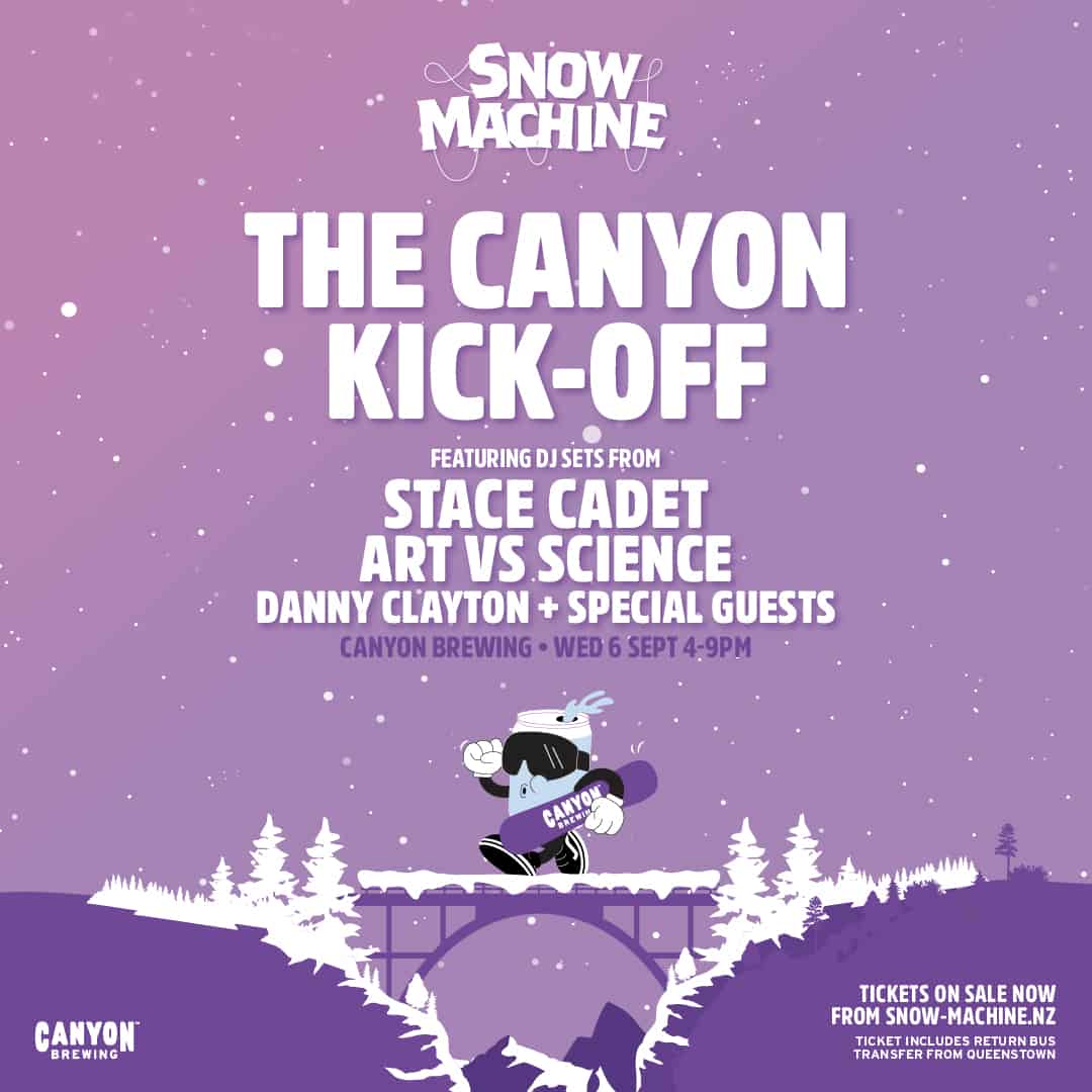 Home Snow Machine NZ